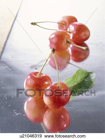 Stock Photo - Cherry. Fotosearch