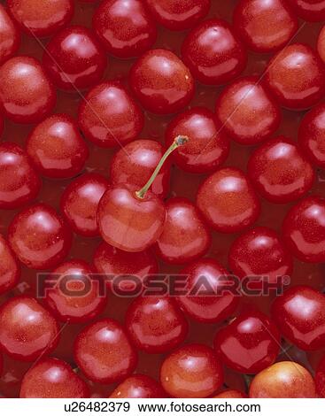Stock Photo - Cherry. Fotosearch