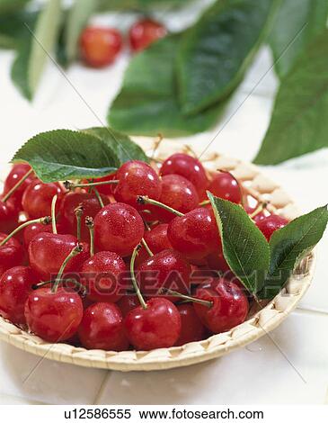 Cherry View Large Photo Image Stock Photography - Cherry. Fotosearch