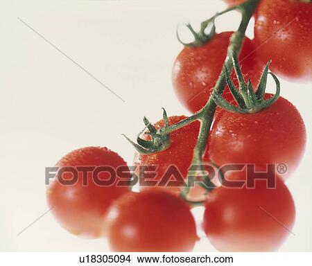 Picture - Cherry Tomato. Fotosearch