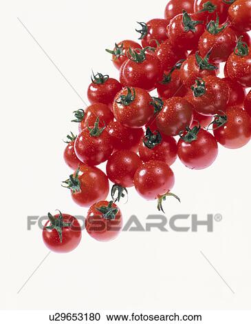 Stock Image - Cherry Tomato. Fotosearch