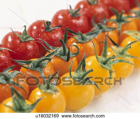 Stock Photo - Cherry Tomato. Fotosearch