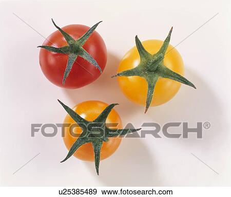 Stock Photo - Cherry Tomato. Fotosearch