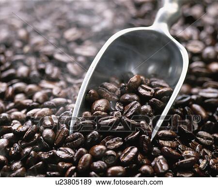 Stock Photo - Coffee Beans. Fotosearch