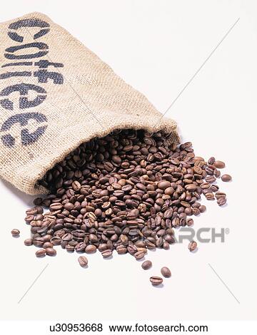 Coffee Beans View Large Photo Image Stock Photo - Coffee Beans. Fotosearch