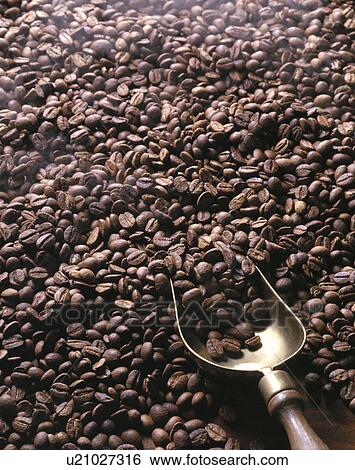Stock Photograph - Coffee Beans. Fotosearch