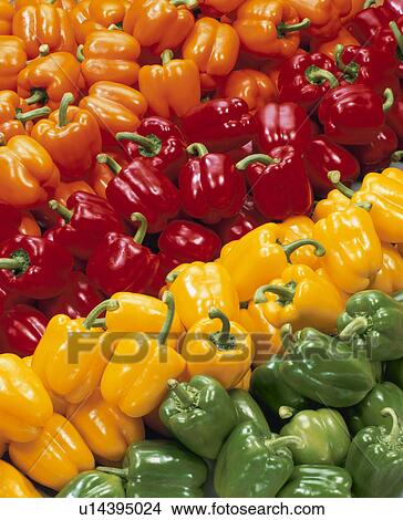 Picture - Color Green Pepper. Fotosearch