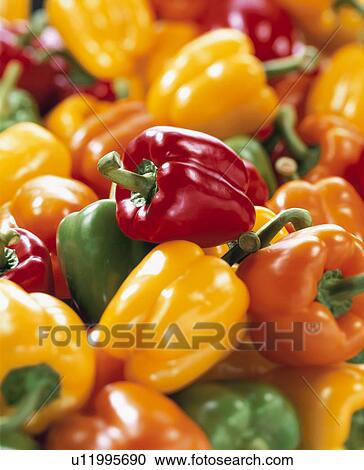 Color Green Pepper View Large Photo Image Stock Image - Color Green Pepper. Fotosearch