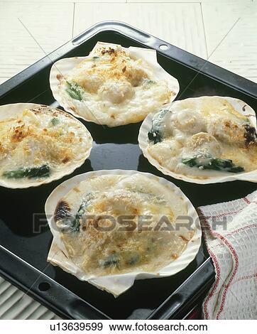 Stock Photo - Coquille Of Scallop. Fotosearch