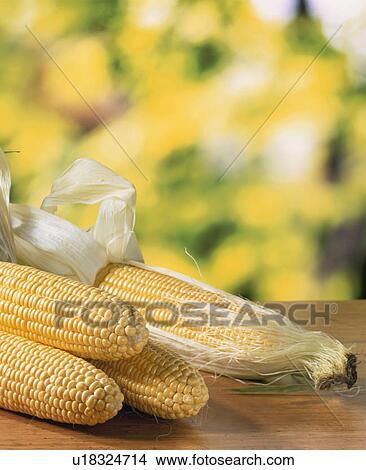 Corn, Canberra View Large Photo Image Picture - Corn, Canberra. Fotosearch