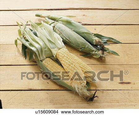 Corn, Honey Bantam View Large Photo Image Picture - Corn, Honey Bantam. Fotosearch