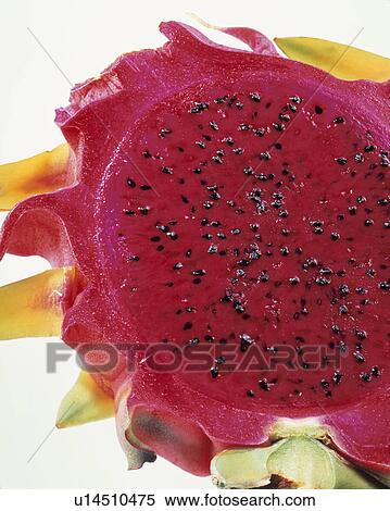 Dragon Fruit View Large Photo Image Stock Photography - Dragon Fruit. Fotosearch