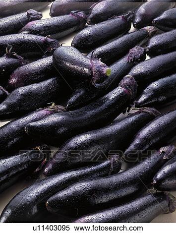 Stock Photography - Egg Plant. Fotosearch