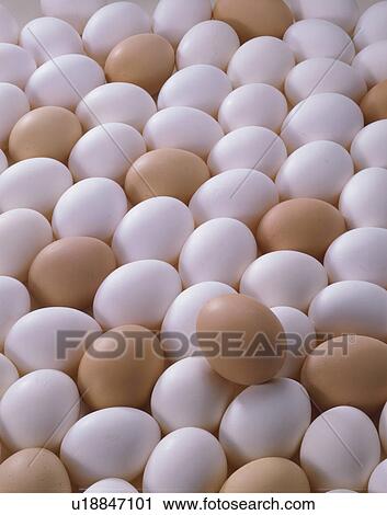 Stock Image - Egg. Fotosearch
