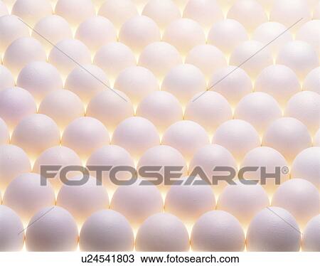 Stock Image - Egg. Fotosearch