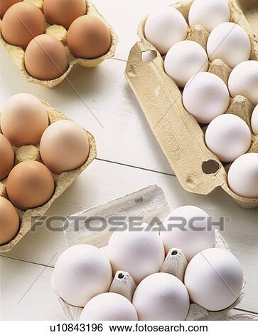 Stock Photograph - Egg. Fotosearch