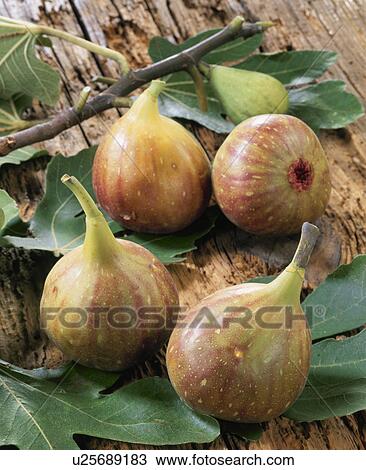 Fig View Large Photo Image Stock Image - Fig. Fotosearch
