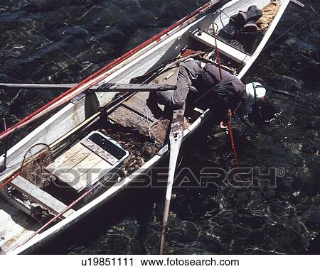 Stock Image - Fishing Sea Urchin. Fotosearch