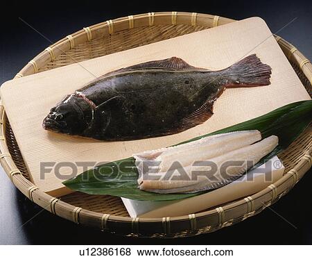 Flounder View Large Photo Image Stock Photo - Flounder. Fotosearch