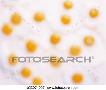Stock Photo - Fried Egg. Fotosearch