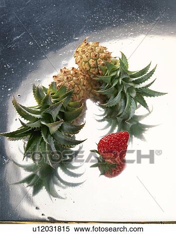 Fruit View Large Photo Image Stock Photography - Fruit. Fotosearch