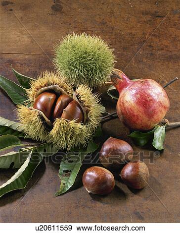 Stock Photo - Fruits Of Autumn,. Fotosearch
