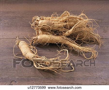 Ginseng View Large Photo Image Stock Photo - Ginseng. Fotosearch