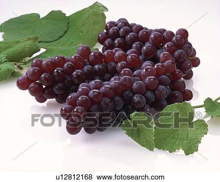 Stock Photo - Grape, Delaware,. Fotosearch