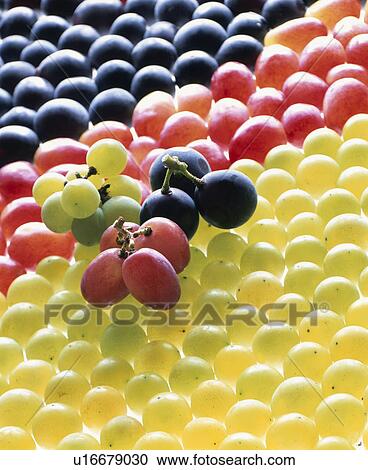 Stock Image - Grape, Kyoho, Niagara,. Fotosearch
