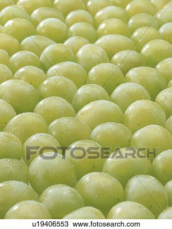 Stock Image - Grape, Muscat,. Fotosearch