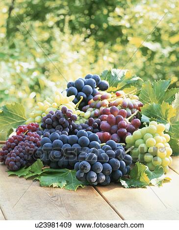 Stock Photo - Grape. Fotosearch