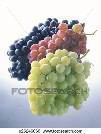 Grape, Three Sorts, View Large Photo Image Stock Photograph - Grape, Three Sorts,. Fotosearch