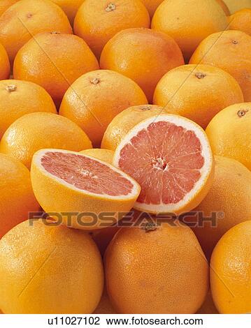 Grapefruit, Ruby, View Large Photo Image Stock Image - Grapefruit, Ruby,. Fotosearch