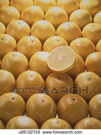 Grapefruit View Large Photo Image Stock Image - Grapefruit. Fotosearch
