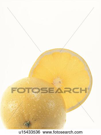 Stock Photograph - Grapefruit. Fotosearch