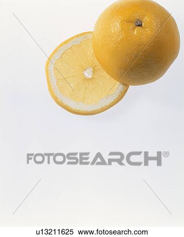 Stock Photography - Grapefruit. Fotosearch