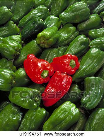 Green Pepper View Large Photo Image Stock Image - Green Pepper. Fotosearch