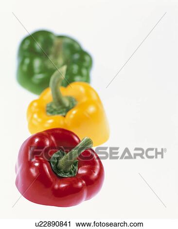 Green Pepper View Large Photo Image Stock Image - Green Pepper. Fotosearch