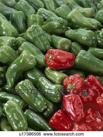 Green Pepper View Large Photo Image Stock Photograph - Green Pepper. Fotosearch