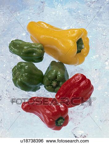 Green Pepper View Large Photo Image Stock Photograph - Green Pepper. Fotosearch