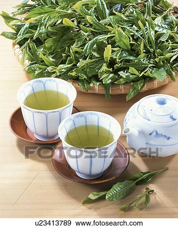 Green Tea Leaf, First Tea Of The Season, View Large Photo Image Stock Photo - Green Tea Leaf, First Tea Of The Season,. Fotosearch