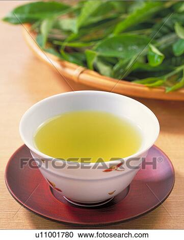 Green Tea View Large Photo Image Stock Image - Green Tea. Fotosearch