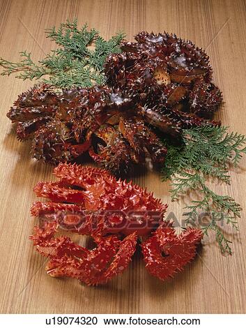 Stock Image - Hanasaki Crab. Fotosearch