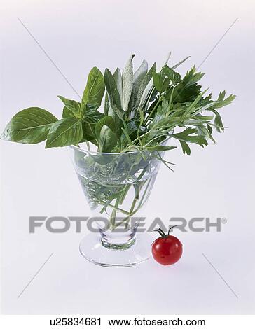 Herb Set View Large Photo Image Stock Image - Herb Set. Fotosearch