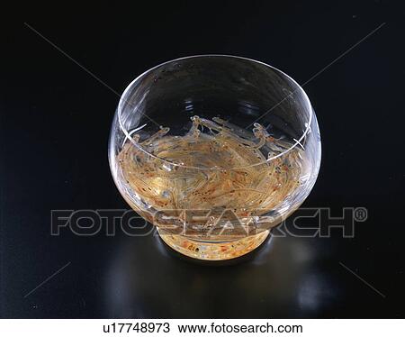 Ice Fish View Large Photo Image Stock Image - Ice Fish. Fotosearch