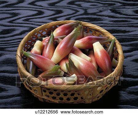 Japanese Ginger View Large Photo Image Stock Photograph - Japanese Ginger. Fotosearch