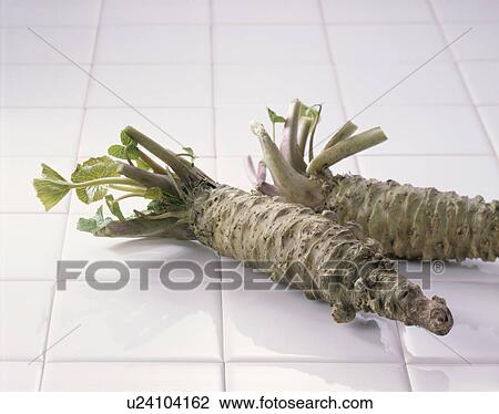 Stock Image - Japanese Horseradish. Fotosearch