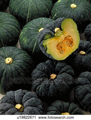 Stock Image - Japanese Pumpkin. Fotosearch