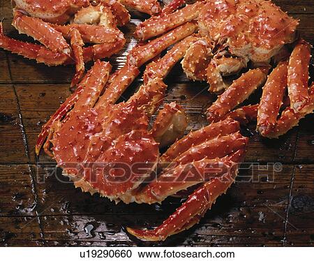 Stock Image - King Crab. Fotosearch
