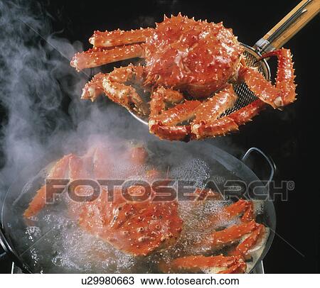 King Crab View Large Photo Image Stock Image - King Crab. Fotosearch